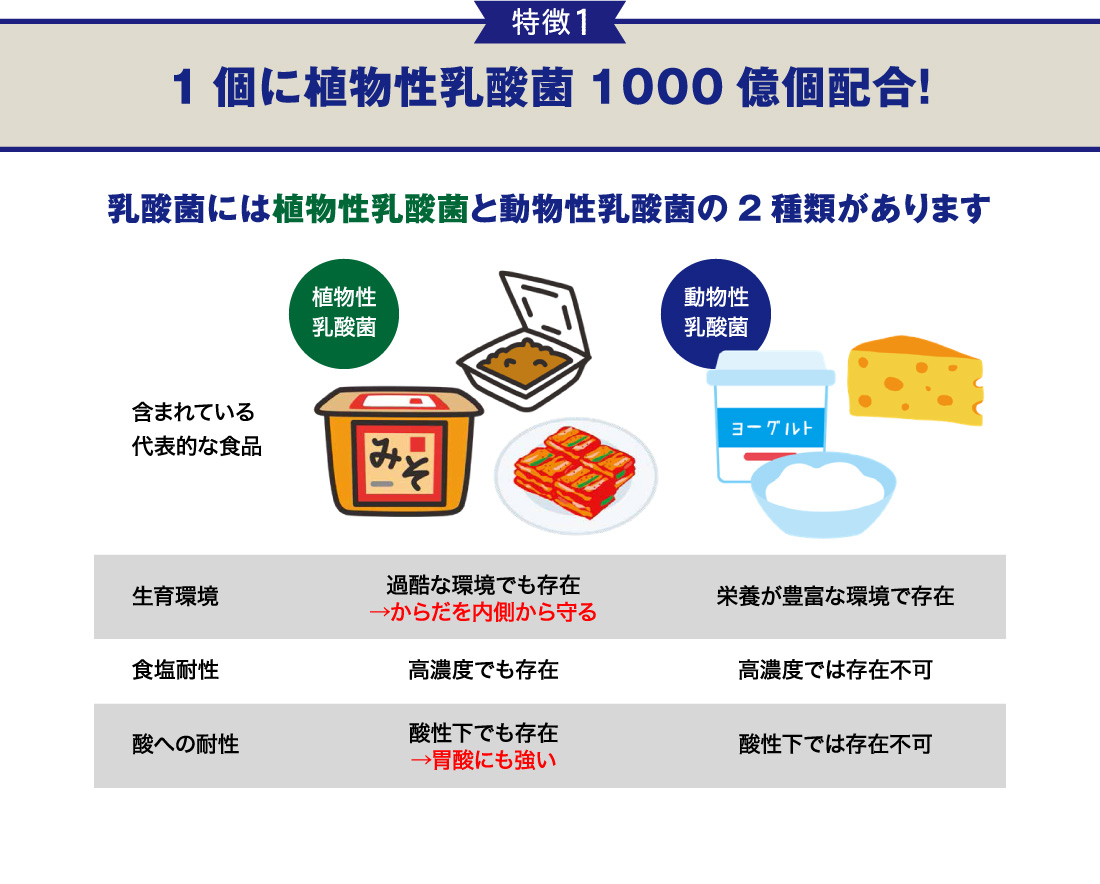 特徴1-1個に植物性乳酸菌1000憶個配合!