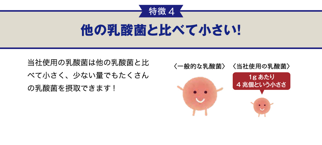 特徴4-他の乳酸菌と比べて小さい!