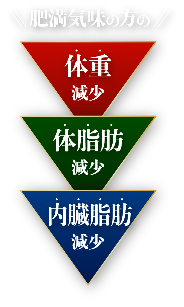 肥満気味の方の体重・体脂肪・内臓脂肪減少