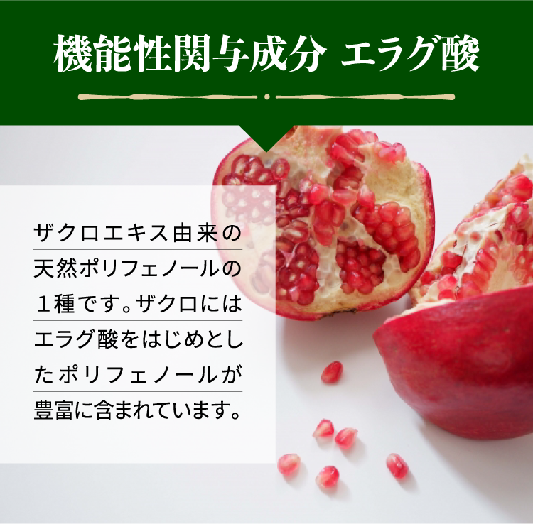 機能性関与成分エラグ酸