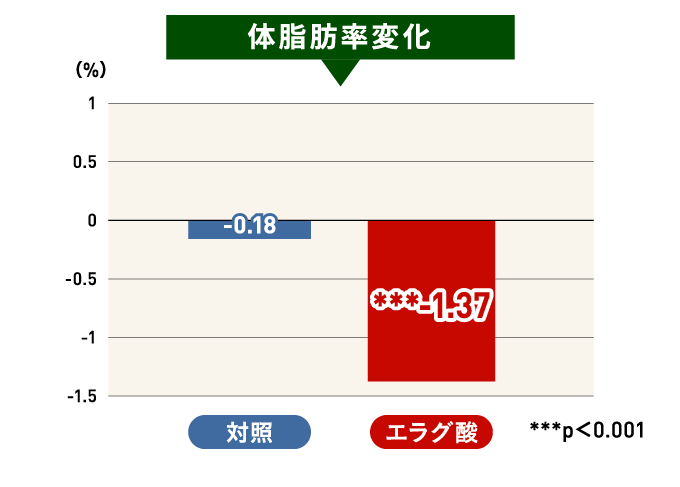 体脂肪変化