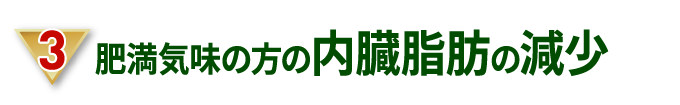 肥満気味の方の内臓脂肪減少