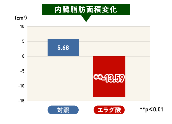 内臓脂肪変化