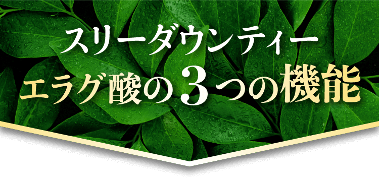 スリーダウンティーエラグ酸の3つの機能