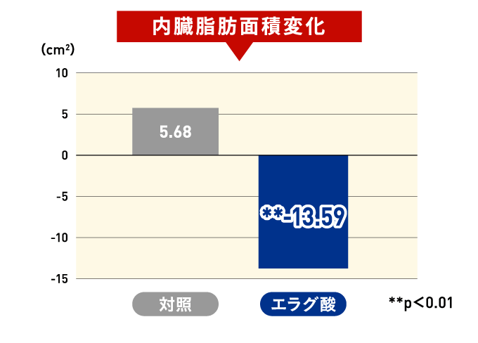 内臓脂肪変化