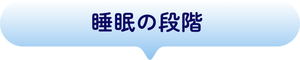 睡眠の段階